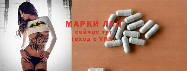 СК Алексин